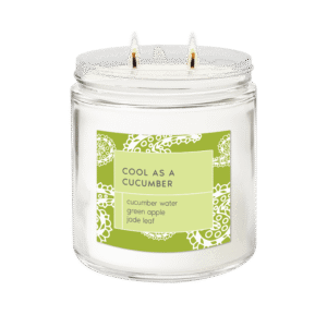 Cool as a Cucumber <br> Signature 2-wick Candle