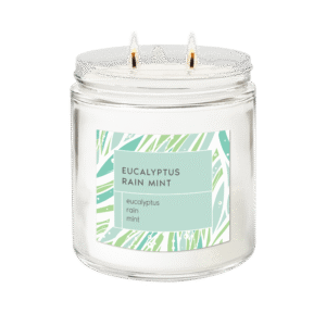 Eucalyptus Rain Mint <br> Signature 2-wick Candle