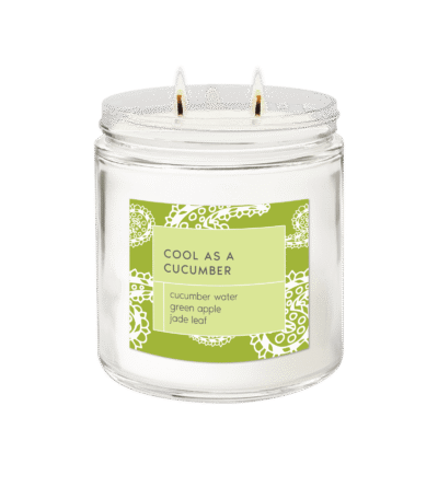 Cool as a Cucumber <br> Signature 2-wick Candle
